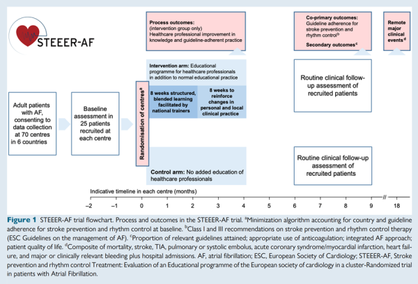 Figure 1. Flow-chart de l’étude