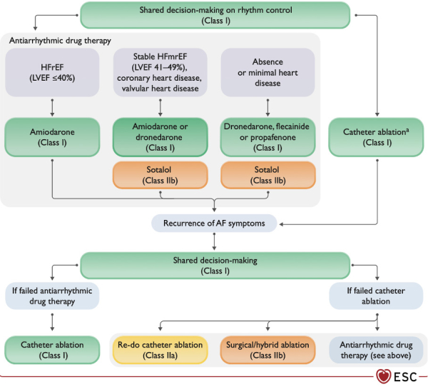 ESC 2024 : recommandations sur la fibrillation atriale - Figure 2 : Contrôle du rythme dans la FA paroxystique