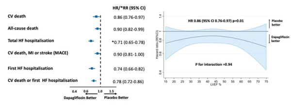 Figure 3. Réduction de l’ensemble des événements cardiovasculaires dans le groupe Dapagliflozine quelle que soit la FEVG.
