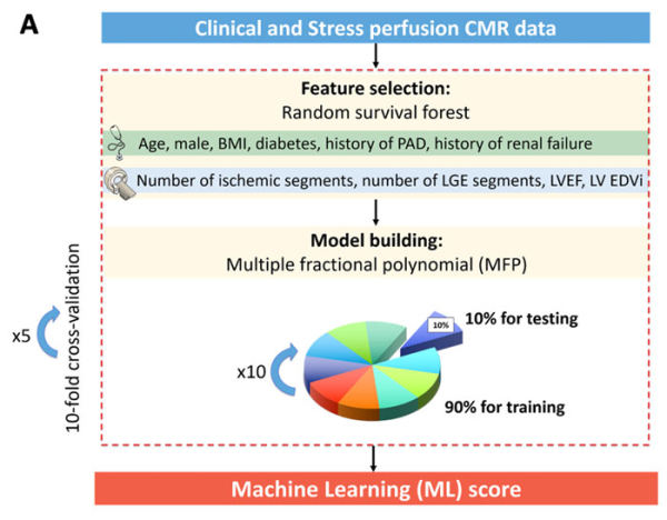 Création d’un score de machine learning incluant des paramètres cliniques, biologiques et d’imagerie
