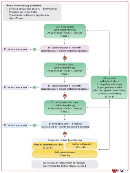 Figure 3 : Algorithme de traitement de l’hypertension artérielle (ESC 2024). 