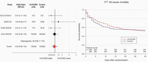 Figure 4 : Méta analyse IPD – mortalité toute cause à 30 jours.