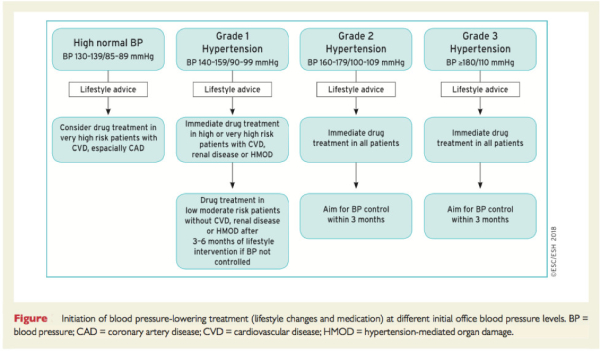 Introduction du traitement antihypertenseur (changements de mode de vie et de médicaments) à différents niveaux de la pression artérielle initiale (ESC/ESH 2018)