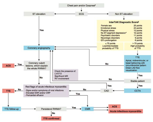 Algorithme diagnostique TTS