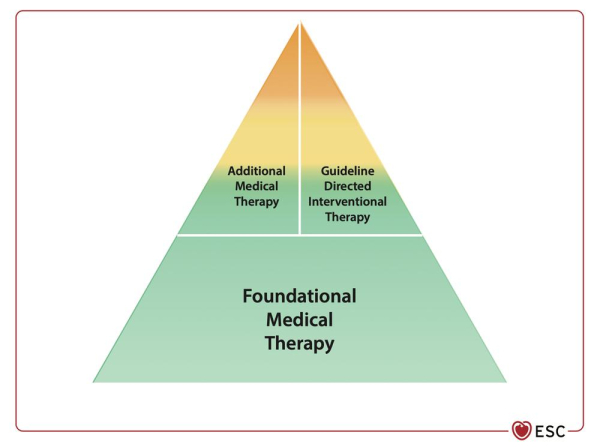 ESC 2026 - Insuffisance cardiaque : Figure 2 - Traitement de fond, traitement additionnel et traitement interventionnel.