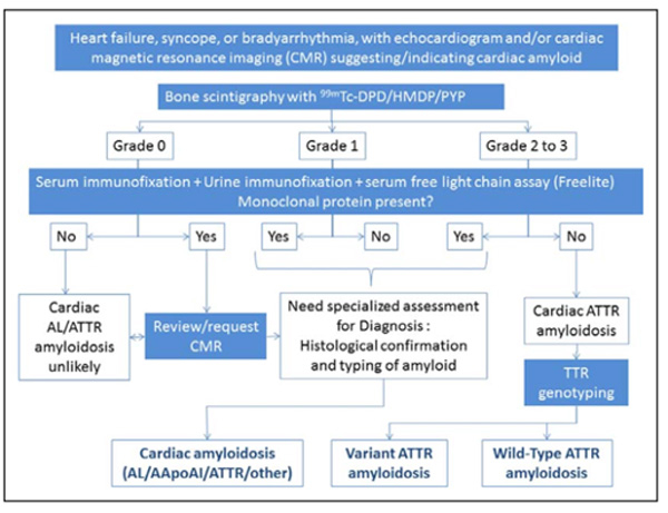 Figure 9 : "Heart Failure, Syncope, or bradyarrhythmia, with echocardiogram and/or cardiac magnetic resonance imaging (CMR) suggesting/indicating cardiac amyloid"