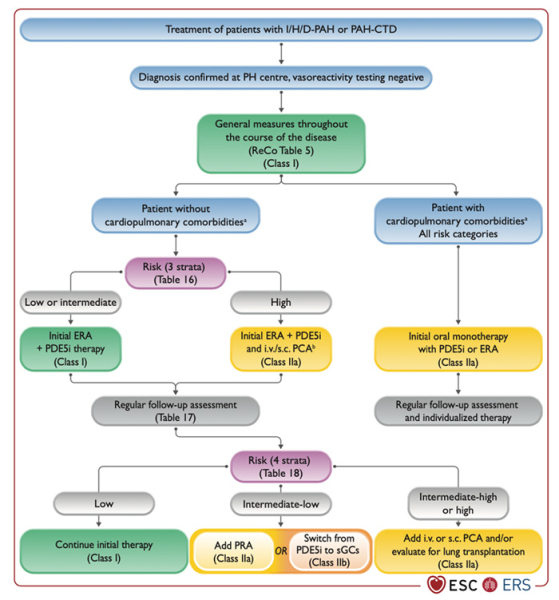 Figure 6. Stratégie thérapeutique pour les patients porteurs d’une HTAP