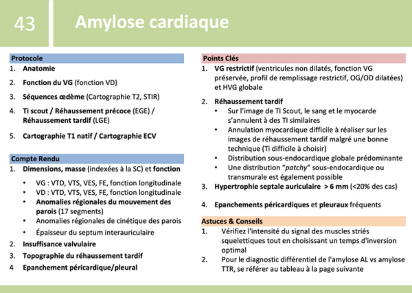 Fiches de synthèse de l’ESC - Amylose cardiaque - protocole, compte-rendu, points clés, Astuces & Conseils