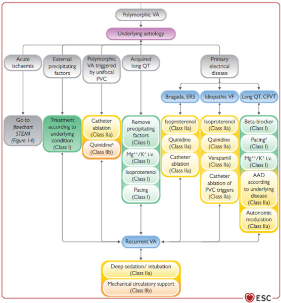 polymorphic Va