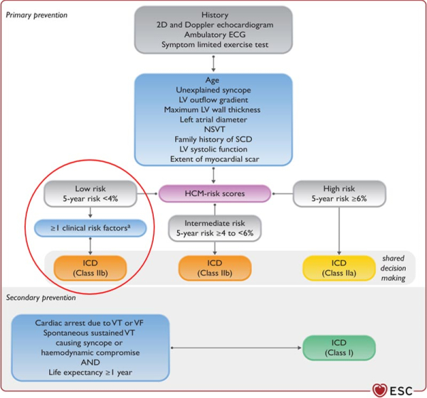 Stratification du risque rythmique en cas de CMH sarcomérique