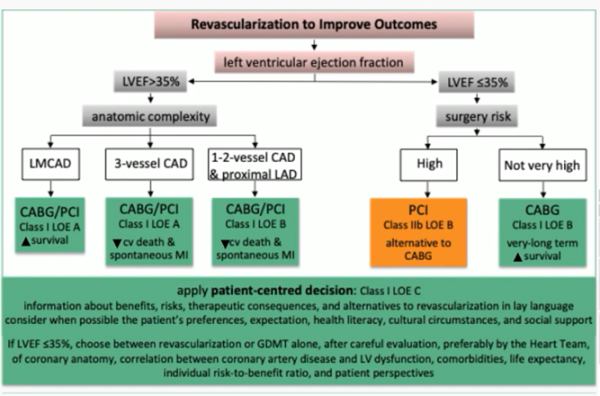 Figure 5 :  Stratégie de revascularisation myocardique à visée pronostique selon la FEVG 