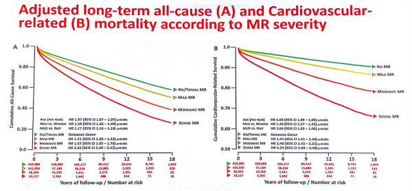 Figure 1 : Mortalité à long terme selon la sévérité de la fuite mitrale A gauche : Décès toute cause, à droite : décès d’origine cardiovasculaire  En vert : IM de grade 0-1, jaune : IM grade 2/4, orange : IM grade 3/4, rouge : IM grade 4/4. Source : présentation ESC du Pr Playford
