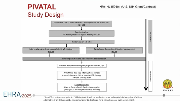 Diagramme des flux de l’étude PIVATAL