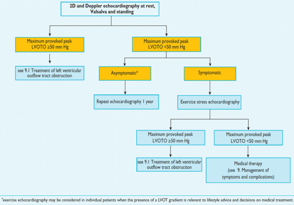 Figure 1 : Recommandations ESC 2014 pour la réalisation de l’échocardiographie d’effort dans la CMH.