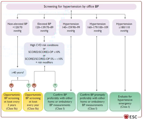 Figure 1 : Dépistage de l’hypertension artérielle et de la pression artérielle augmentée
