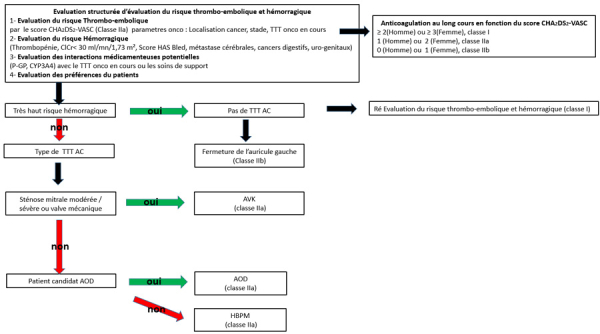 Adaptée de : 2022 ESC Guidelines on cardio-oncology (Eur Heart J. 2022 Aug 26:ehac244. doi: 10.1093/eurheartj/ehac244)